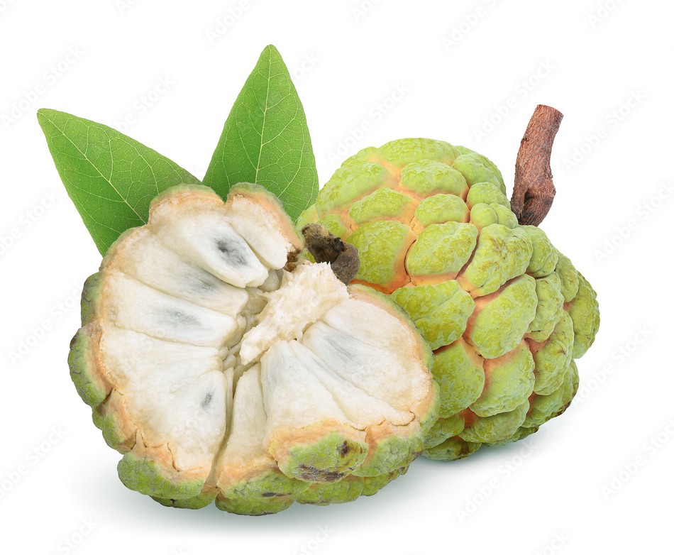 Custard Apple